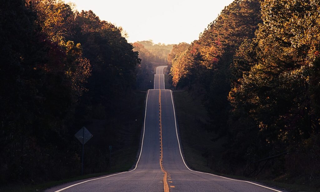 asphalt road between trees. Strategic Planning Playbook