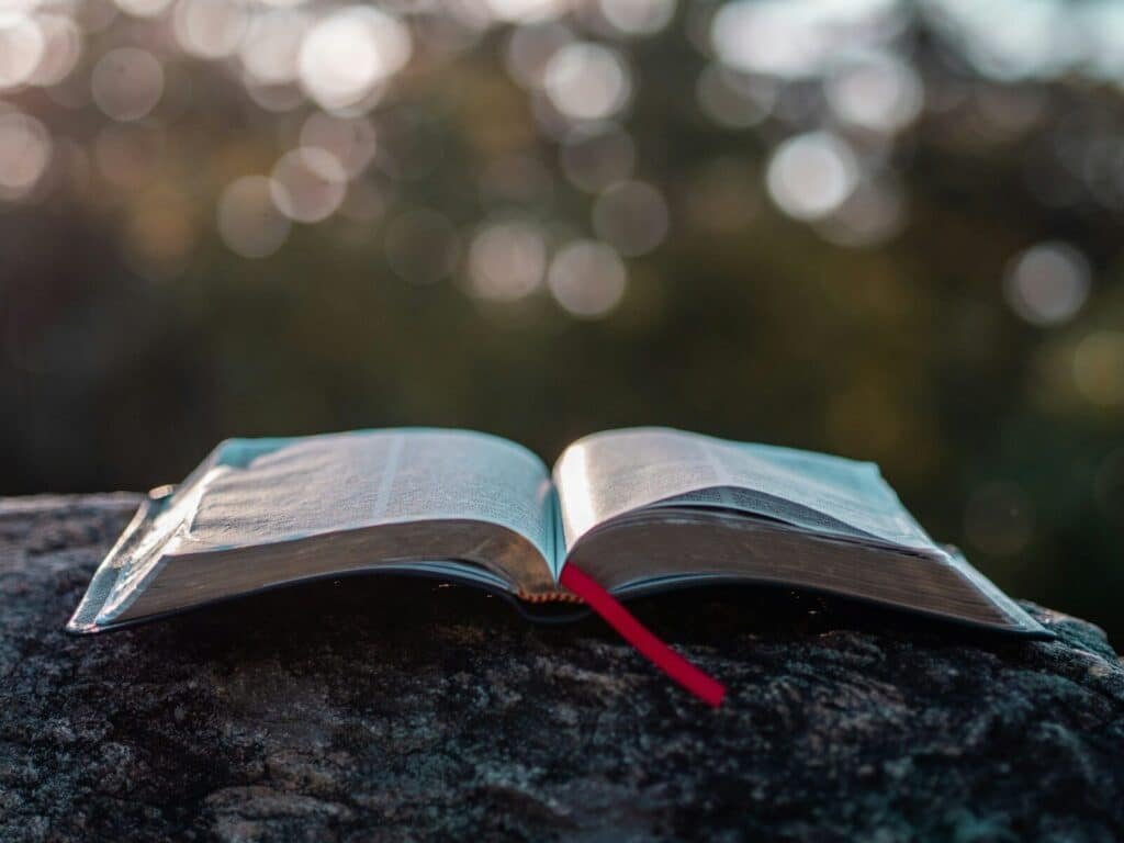 book pages on gray stone during daytime. Kingdom Investing